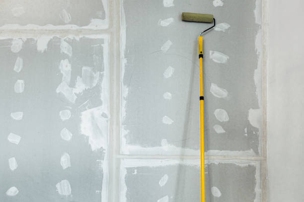 Best Mold Damage Restoration  in Gloverville, SC