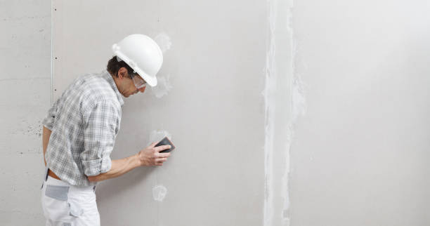 Reliable Gloverville, SC Mold Removal Solutions