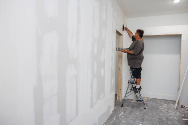 Best Black Mold Removal  in Gloverville, SC