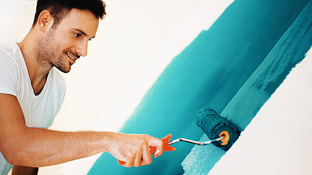 Best Mold Removal for HVAC Installations  in Gloverville, SC